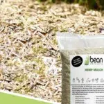 le paillis de chanvre : une solution écologique pour protéger et nourrir vos plantations tout en conservant l'humidité du sol.