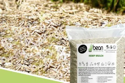 le paillis de chanvre : une solution écologique pour protéger et nourrir vos plantations tout en conservant l'humidité du sol.